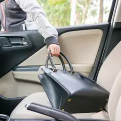 Man with hand inside car taking purse